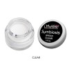 Polvo Acrílico Symbiosis Clear 7g (Secado Rápido)