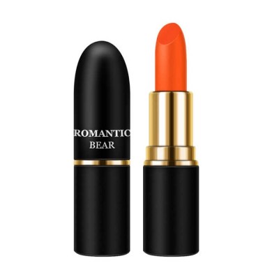 120-pzas Para Barra de labios mate de 12 colores para envío