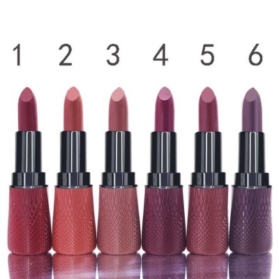 Waterproof Ink Velvet Matte Long Lasting Lipstick Makeup Cosmetic Black Matte Chinese Lipstick Vegan Nude Cute Lipstick