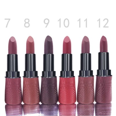 Long Lasting Velvet Lipstick Cosmetics Waterproof Vegan Makeup Matte Nude Ladies Lipstick For Black Skin Women