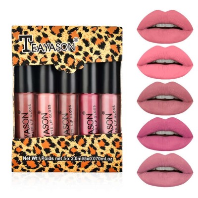 Waterproof Velvet Matte Lip Gloss Set Gift Box Dragon Ranee Long Lasting 5Pcs Glossy  Cute Lip Gloss Combo Set